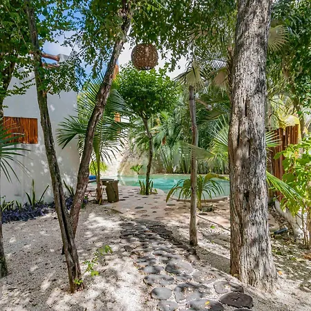 Niik Tulum-3