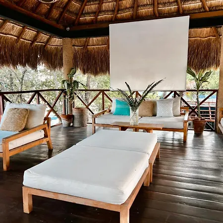 Mimosa Tulum-3