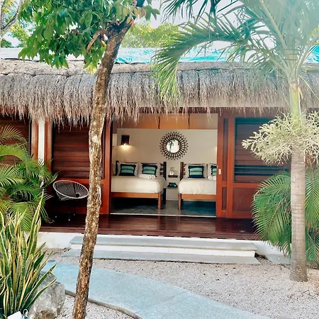 Mimosa Tulum-2