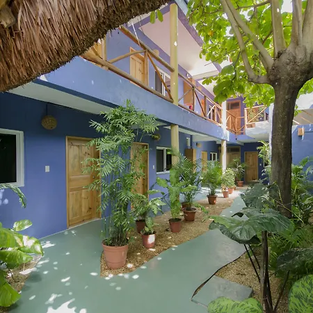Casa Almendro-2