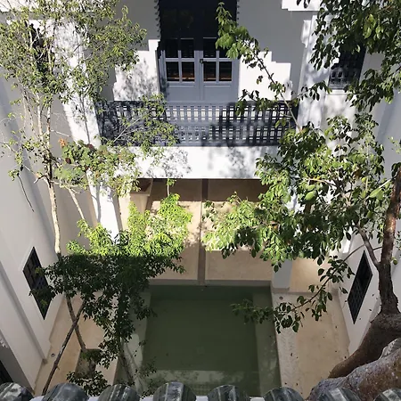 Ambre&Epices Jungle Hotel&Spa-3