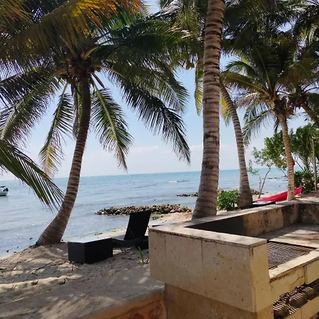 Alea Tulum-2