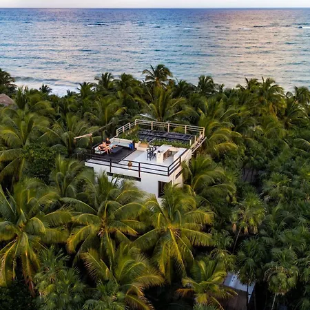 Olas Tulum-3