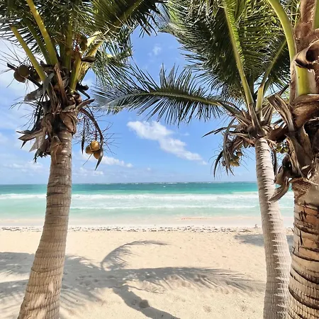 Olas Tulum-2