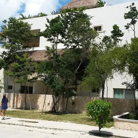 Stay In Tulum!-2