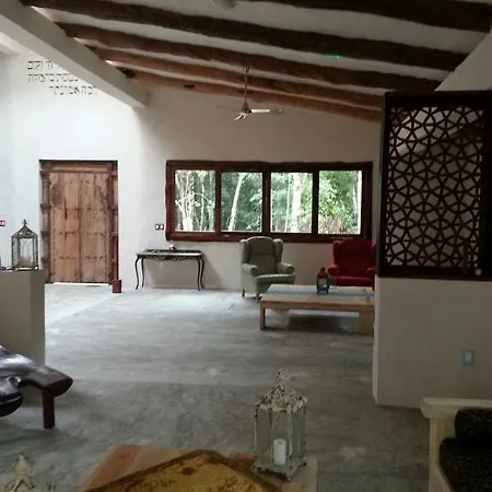 Wonderful Jungle House M. Gomez Tulum By Kvr-2