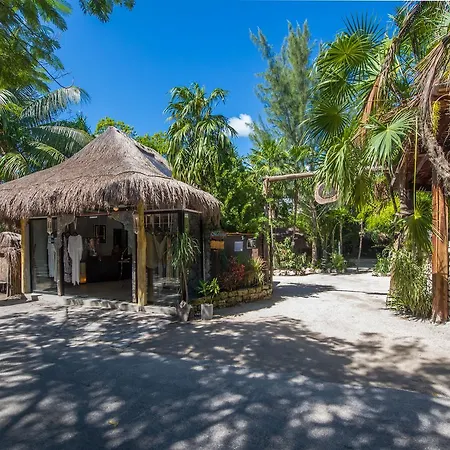 Yoga Shala Tulum-2