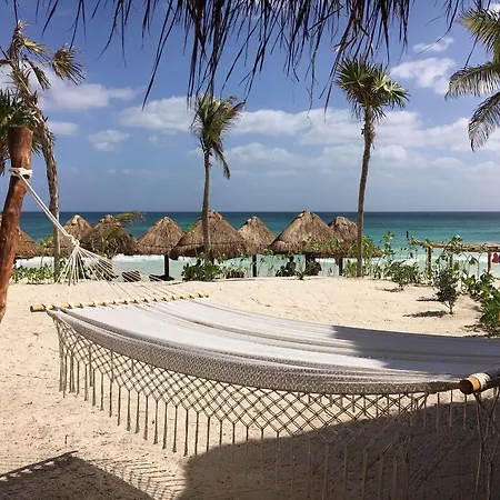 Alma Tulum-2