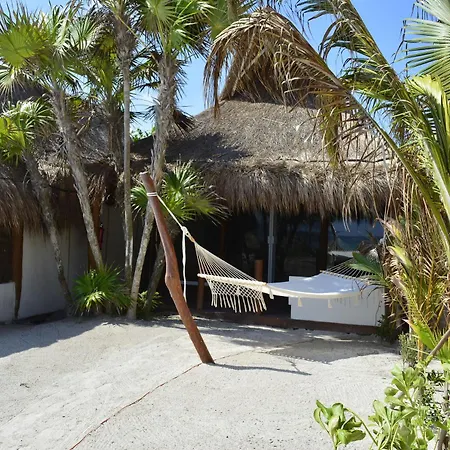 Alma Tulum-3