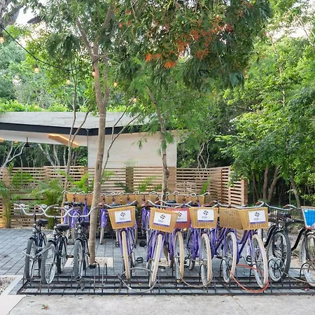 Casa De Suenos - 3Br Ph - Aldea Zama-2