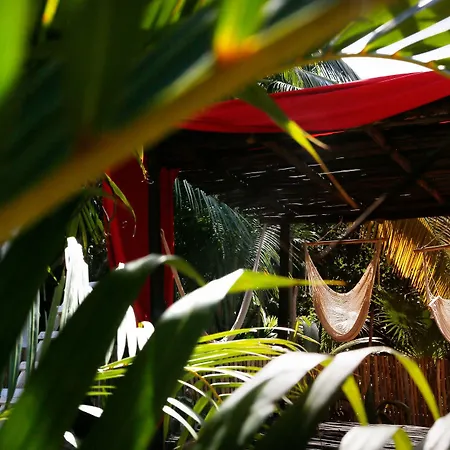 Casa Selva De Luz-2