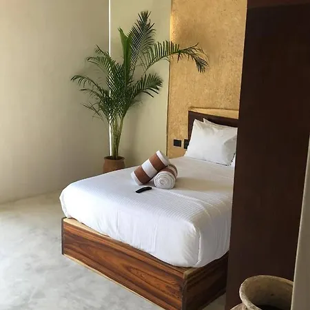 Cozy 1 Bedroom Up To 4 People At Aldea Zama-2