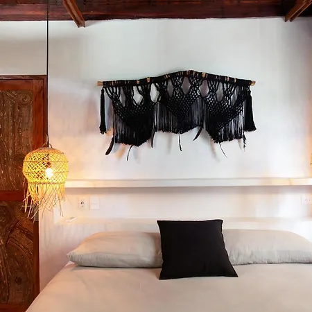 Mohave Jungle Rooms-3
