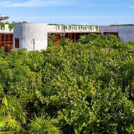 Beachfront Villa In The Middle Of Jungle!-2
