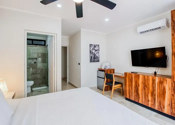 Appartement Viva 107-108 à Tulum acceptant les animaux