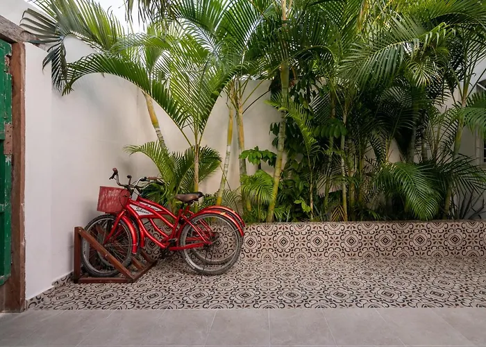 Villa Casa La Ceiba à Tulum acceptant les animaux