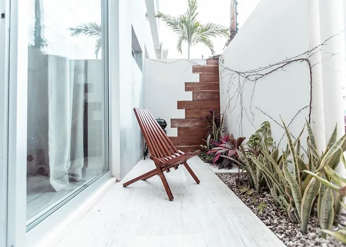 Dune Tulum acceptant les animaux