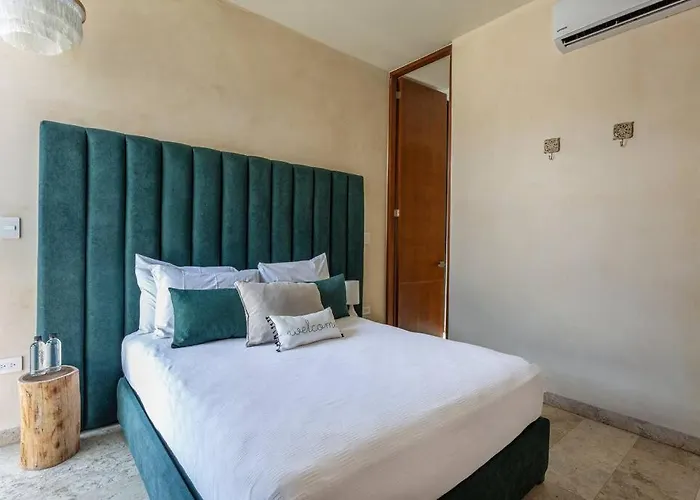 Amor Amor Two Bedroom Penthouse Suite Private Pool Tl24 Tulum acceptant les animaux