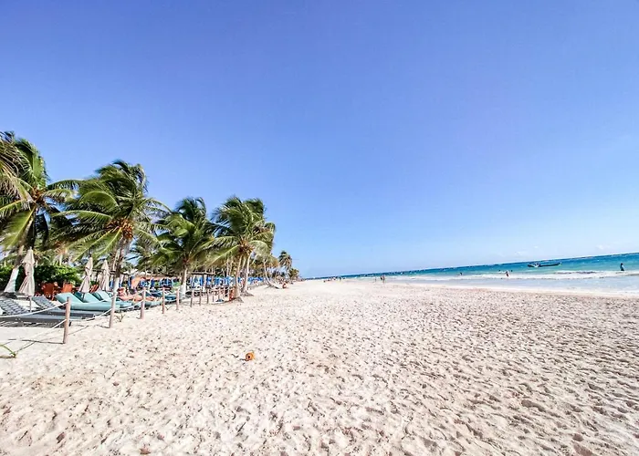 Jungle'S Nest Hotel Tulum admite animales