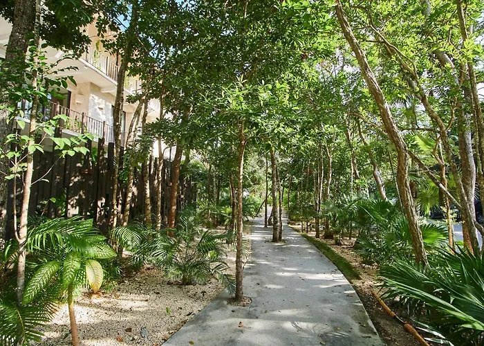 Cute & Lovely Apartment In Luum Zama Most Exclusive Gated Community In Tulum