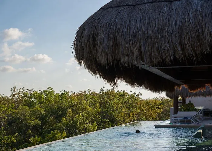 Luxury & Modern Apartments In Tulum Top Amenities By Yeah