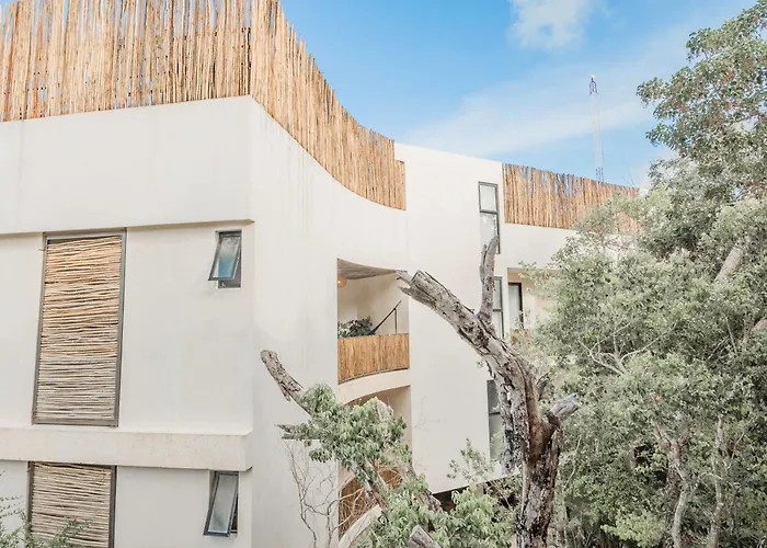 Dreamy Tropical Studio In Tulum Plunge Pool, Backyard, Rooftop Pool & Lounge Great Amenities admite animales