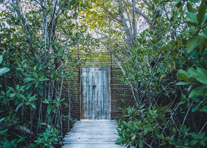 Hotel Nativus Glamping & Cenote Tulum