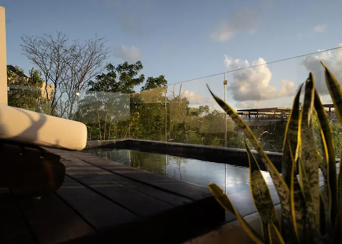 Amazing Penthouse & Apartment With Private Pool, Terrace , Roof Top And Hot Tub In Tulum Jungle admite animales