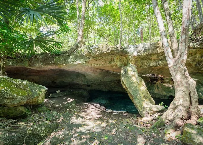 Casa Selva 3Br Jungle Penthouse With Private Pool! At Aldea Zama Apartamento Tulum admite animales